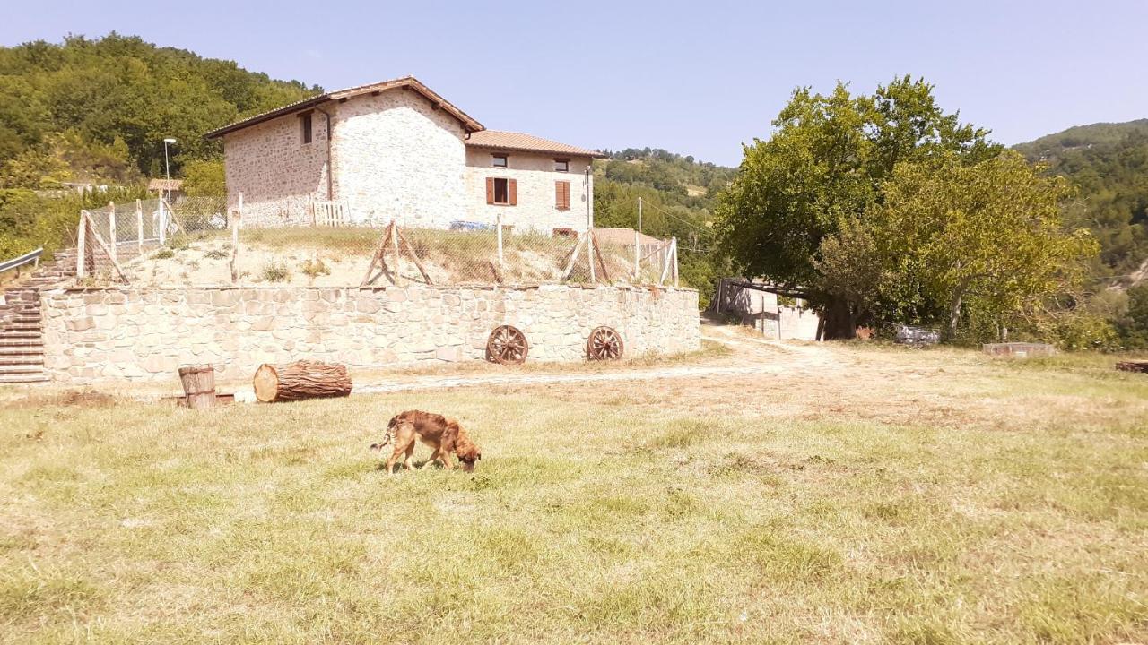 Agriturismo Marcofrate, A Retreat In The Nature Valtopina 外观 照片